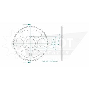Esjot | Kettenrad 45 Z