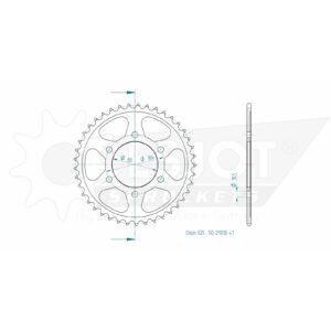 Esjot | Kettenrad 41 Z