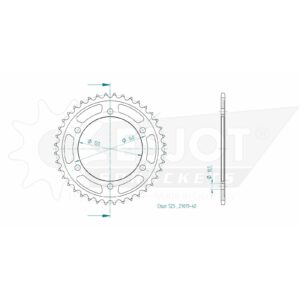 Esjot | Kettenrad 40 Z