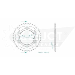 Esjot | Kettenrad 37 Z