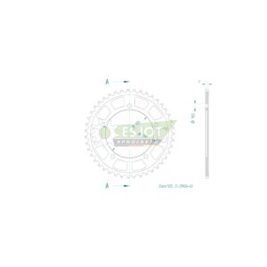 Esjot | Kettenrad 43 Z
