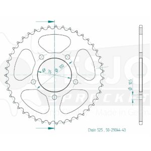 Esjot | Kettenrad 43 Z