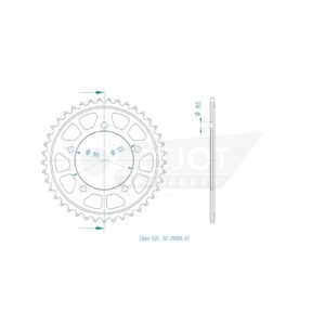 Esjot | Kettenrad 41 Z