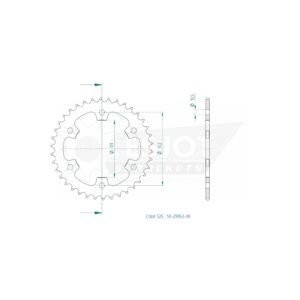 Esjot | Kettenrad 38 Z