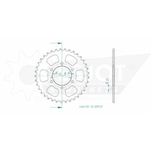 Esjot | Kettenrad 37 Z