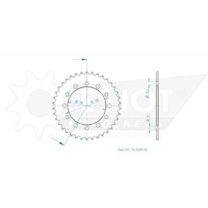 Esjot | Kettenrad 38 Z