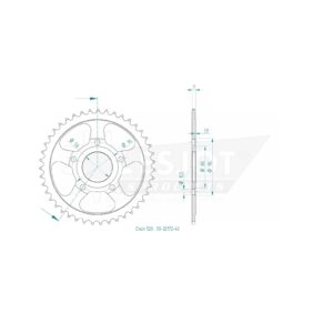Esjot | Kettenrad 43 Z
