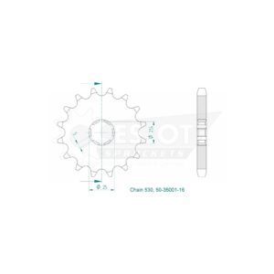 Esjot | Ritzel 16 Z