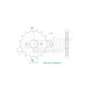 Esjot | Ritzel 16 Z