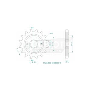 Esjot | Ritzel 16 Z