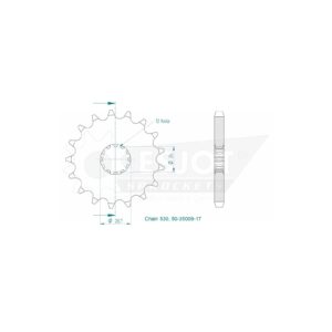 Esjot | Ritzel 17 Z