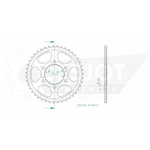 Esjot | Kettenrad 43 Z